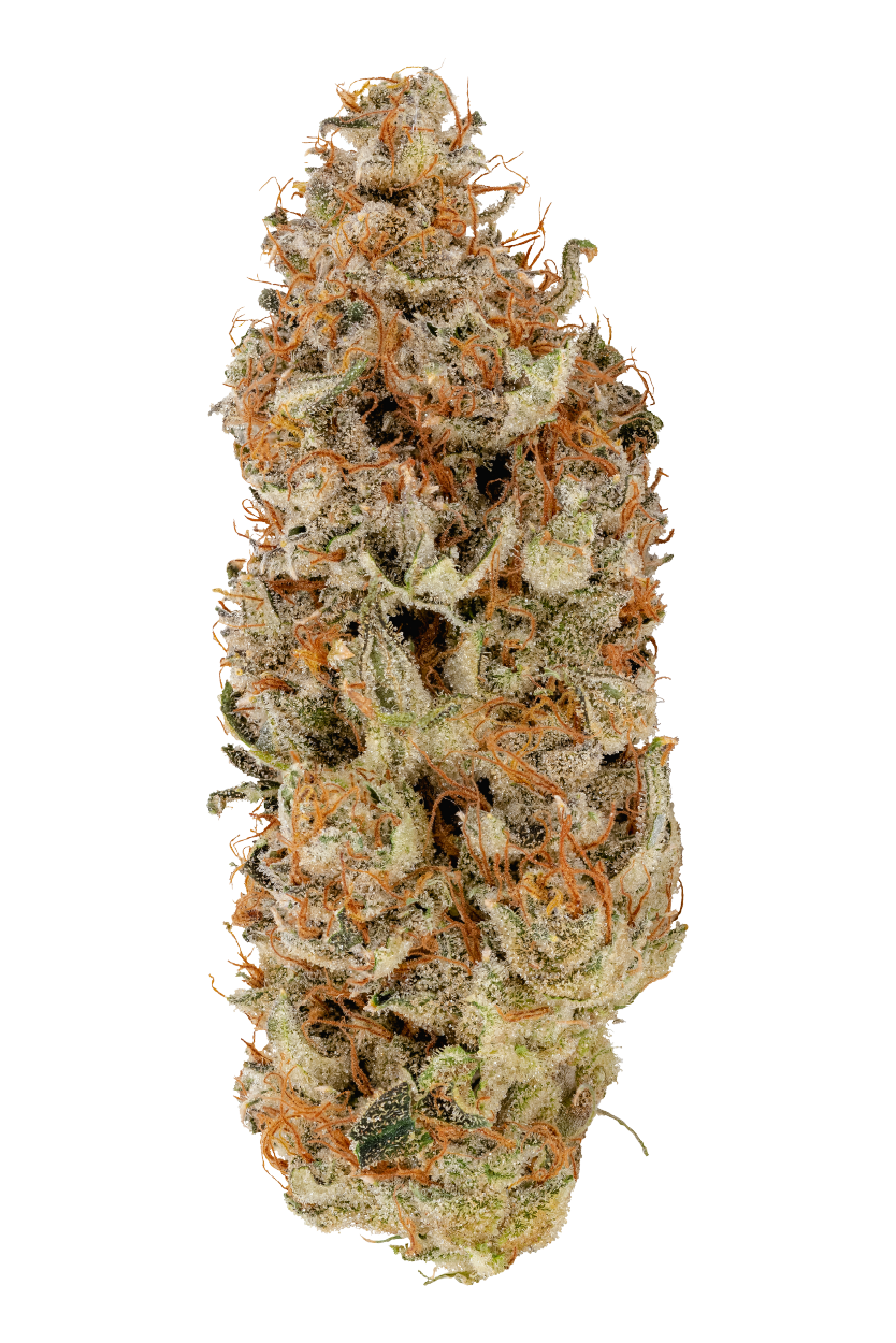 KAI Cannabis Lost Cause Flower Singular Bud