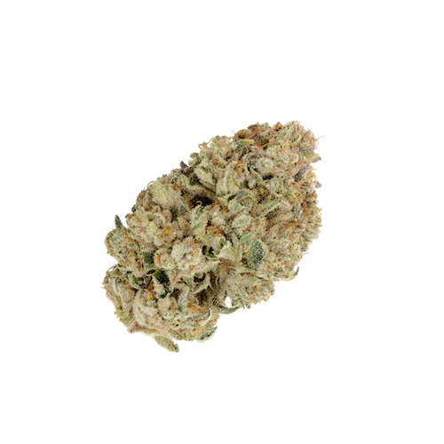 KAI Cultivation Chemdozer Hybrid Cannabis Strain Bud