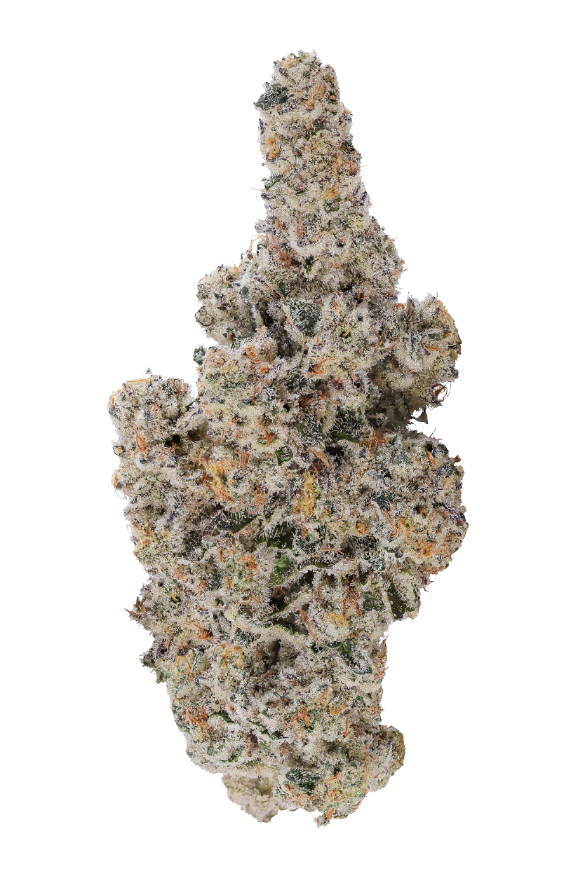 KAI Cultivation Turbo Sangria Cannabis Bud