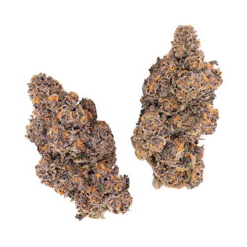 KAI Cultivation Gary Payton x Jealousy Indica-Hybrid Cannabis Bud