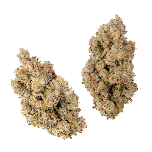 KAI Cultivation Banana Puddintain Indica-Hybrid Cannabis Bud