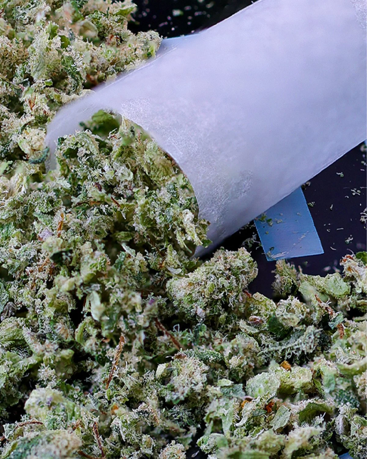 KAI Cultivation Ground-Up Sativa Citrix Flower with Pre-Roll Cone