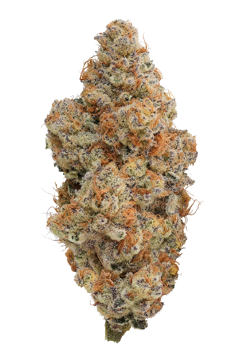 KAI Cultivation Peach Slushie Bud