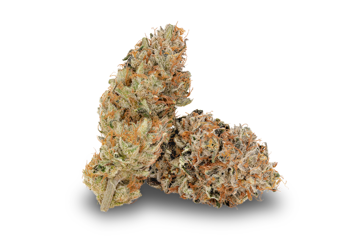 KAI Cultivation Sativa Lost Cause Cannabis Strain Bud