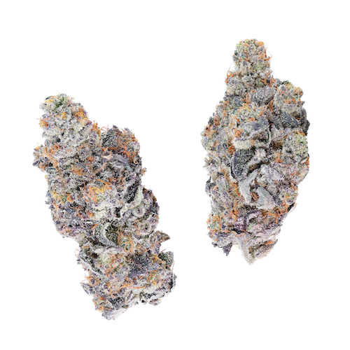 KAI Cultivation Say Less Hybrid Cannabis Flower Bud