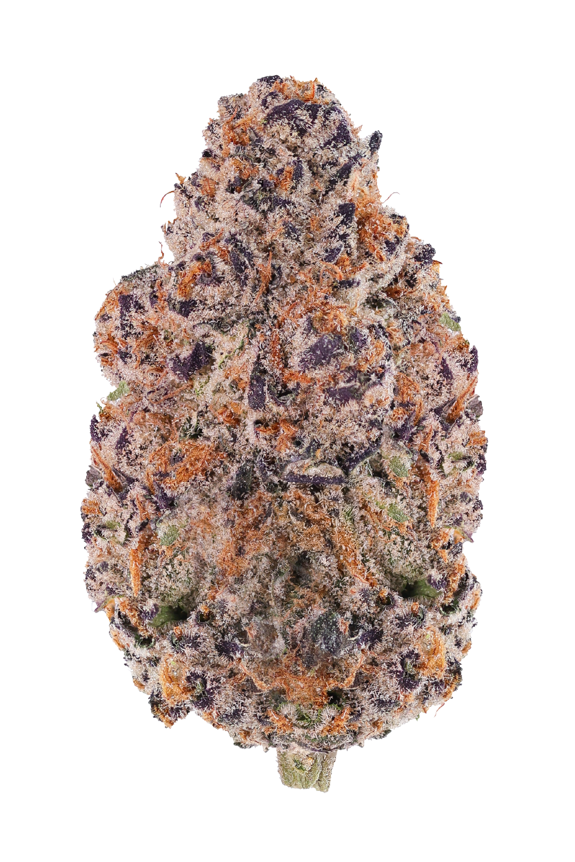 KAI Cultivation Brass Knuckles Cannabis Bud