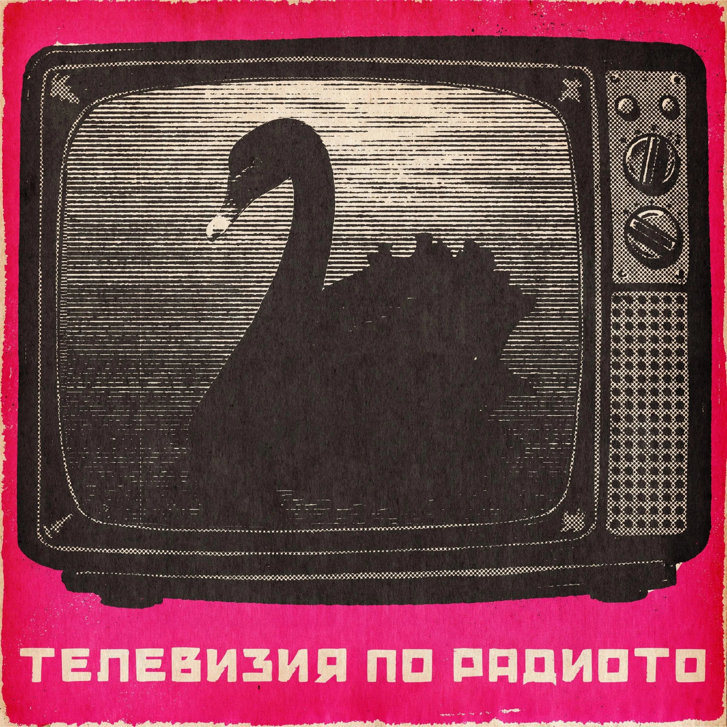 Черен лебед