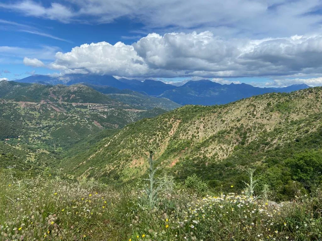 WhatsApp Image 2023-06-19 at 06.31.24-3.jpeg