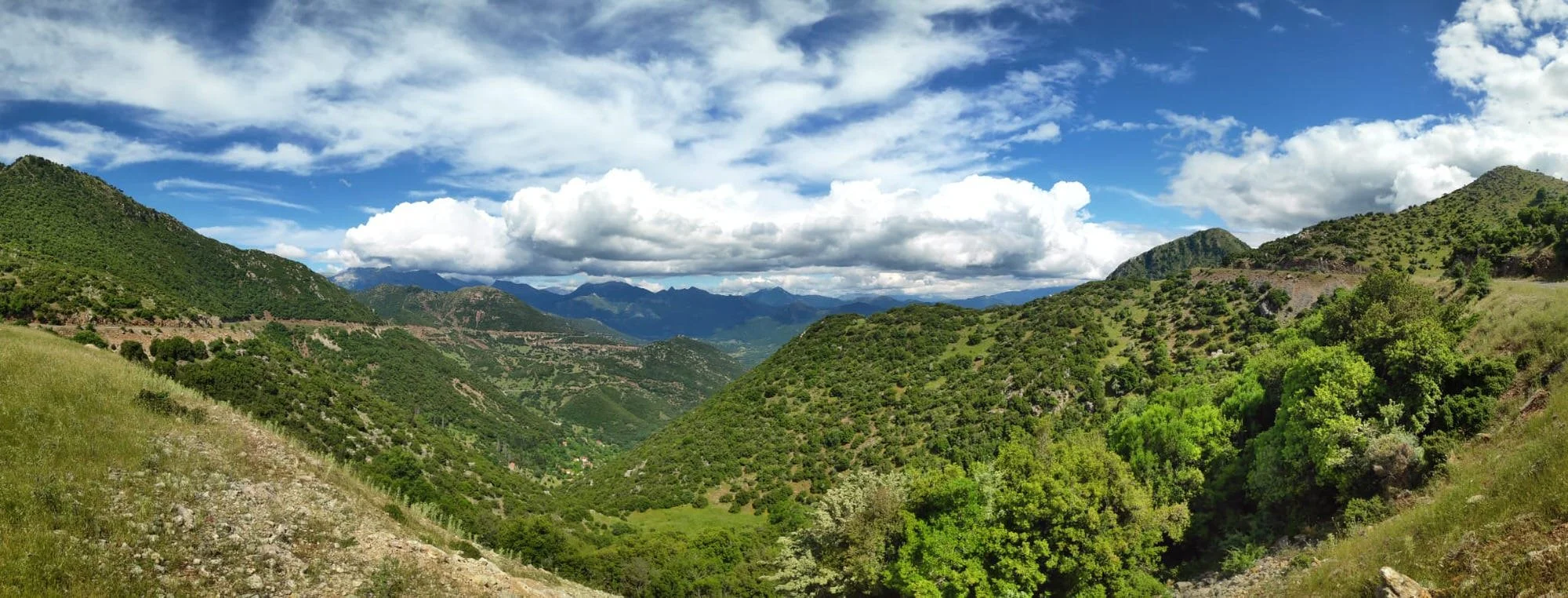 WhatsApp Image 2023-06-18 at 20.24.07.jpeg