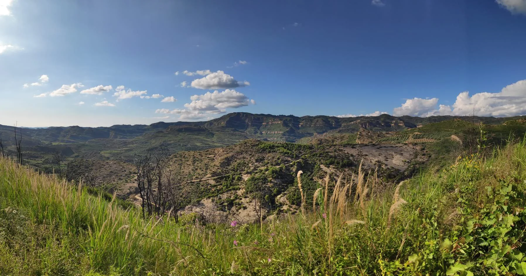 WhatsApp Image 2023-06-18 at 20.24.09-2.jpeg