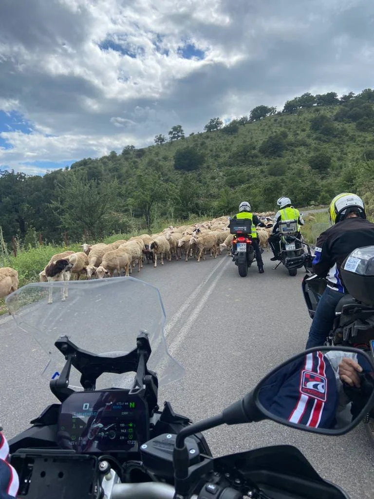 WhatsApp Image 2023-06-19 at 06.31.24-4.jpeg