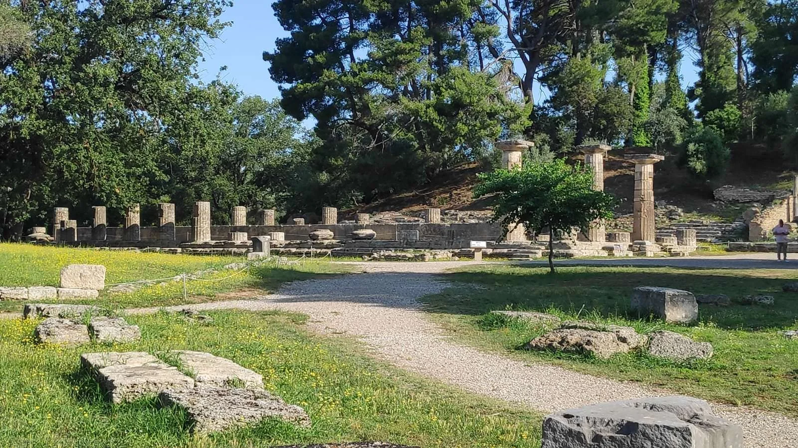 WhatsApp Image 2023-06-19 at 08.39.15.jpeg