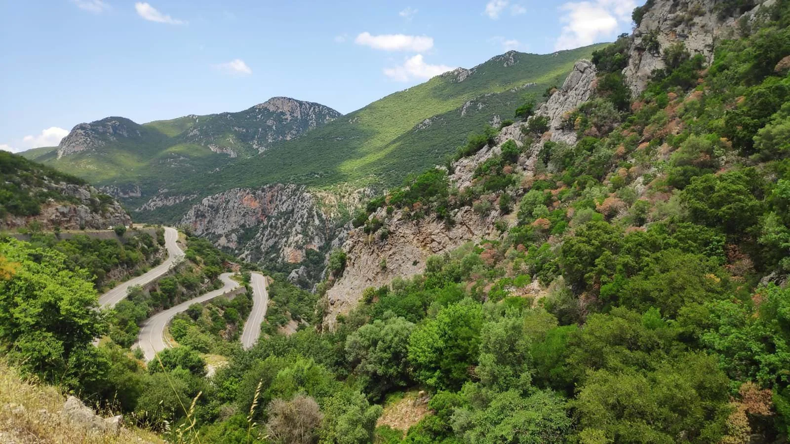 WhatsApp Image 2023-06-20 at 13.46.01.jpeg