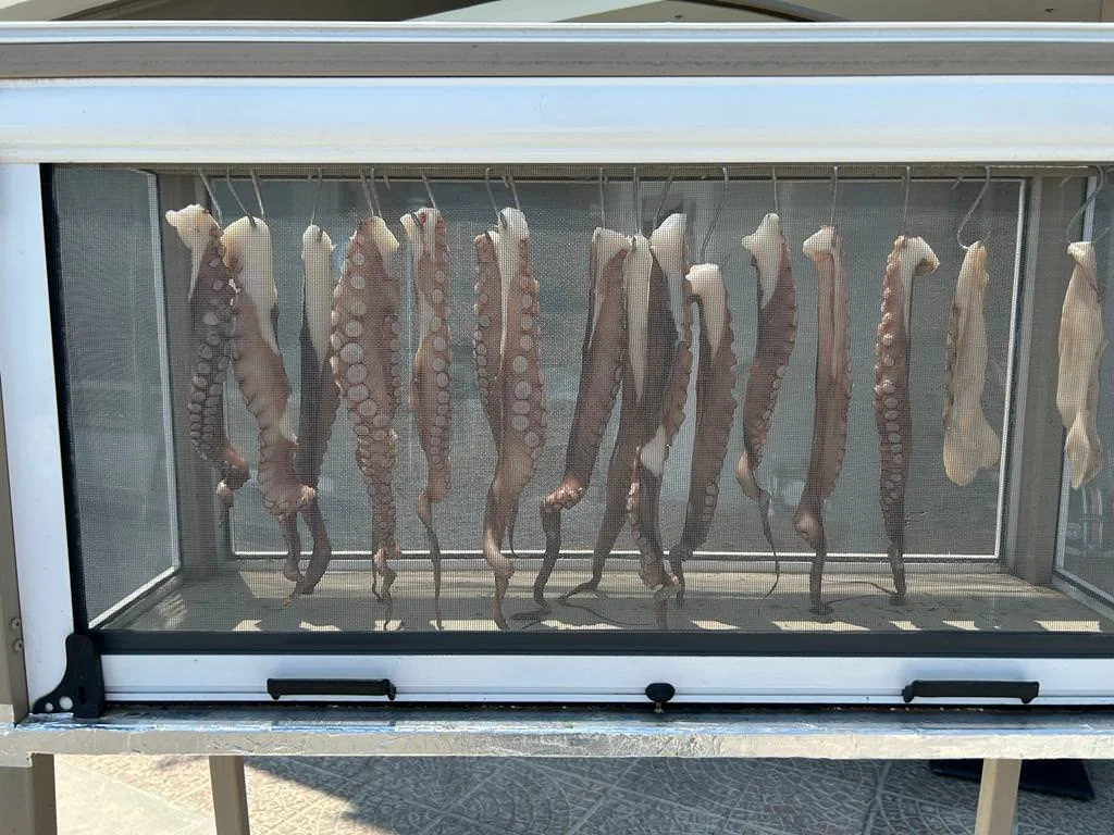 WhatsApp Image 2023-06-22 at 07.41.51-2.jpeg