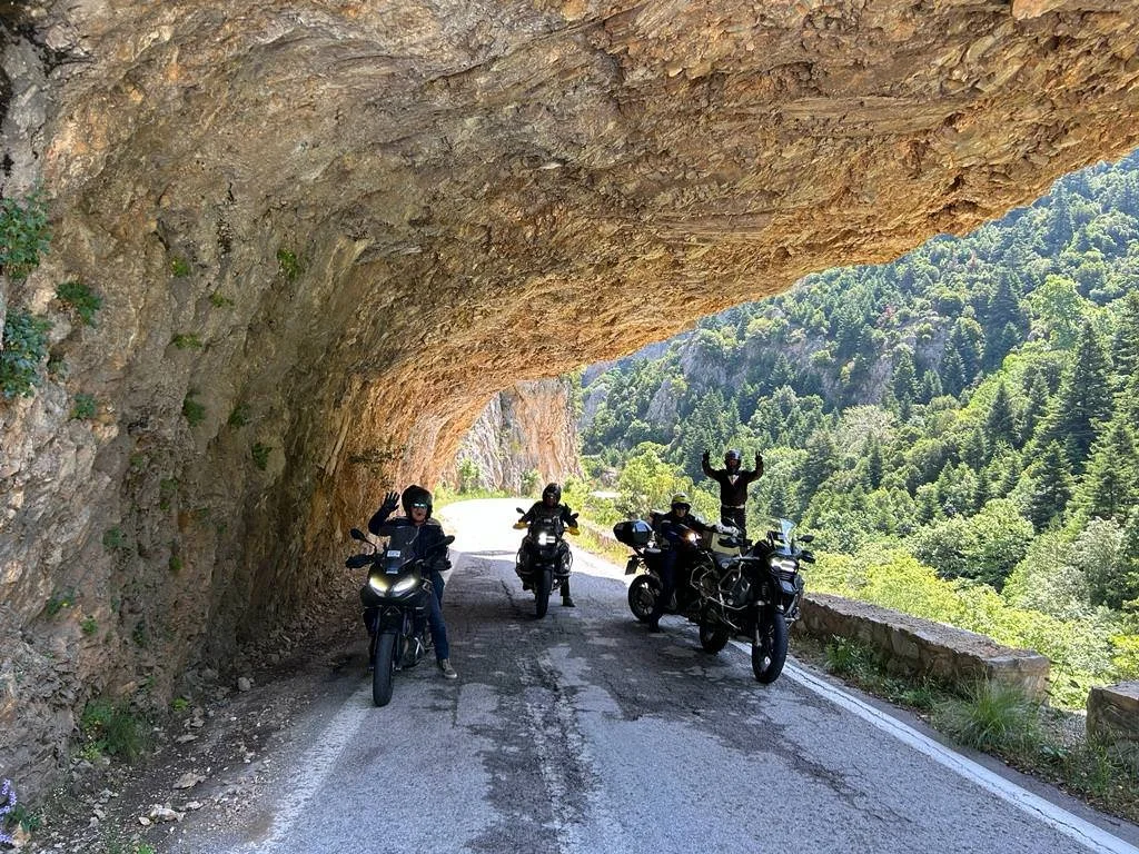 WhatsApp Image 2023-06-21 at 07.00.44.jpeg