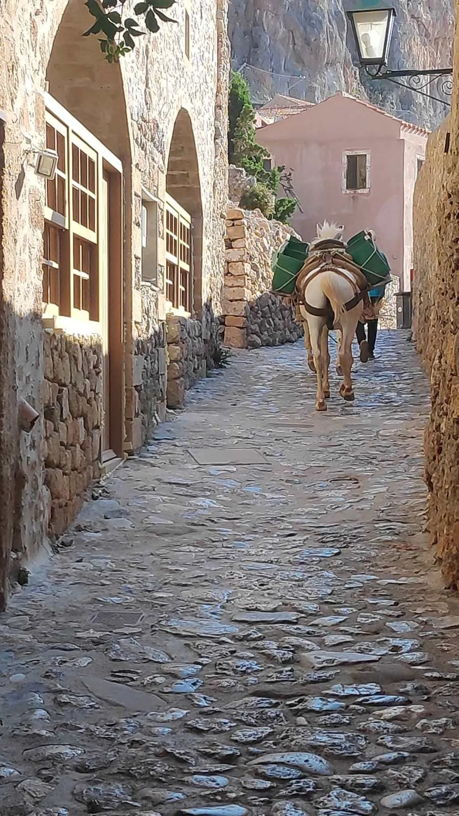 WhatsApp Image 2023-06-22 at 11.05.20.jpeg