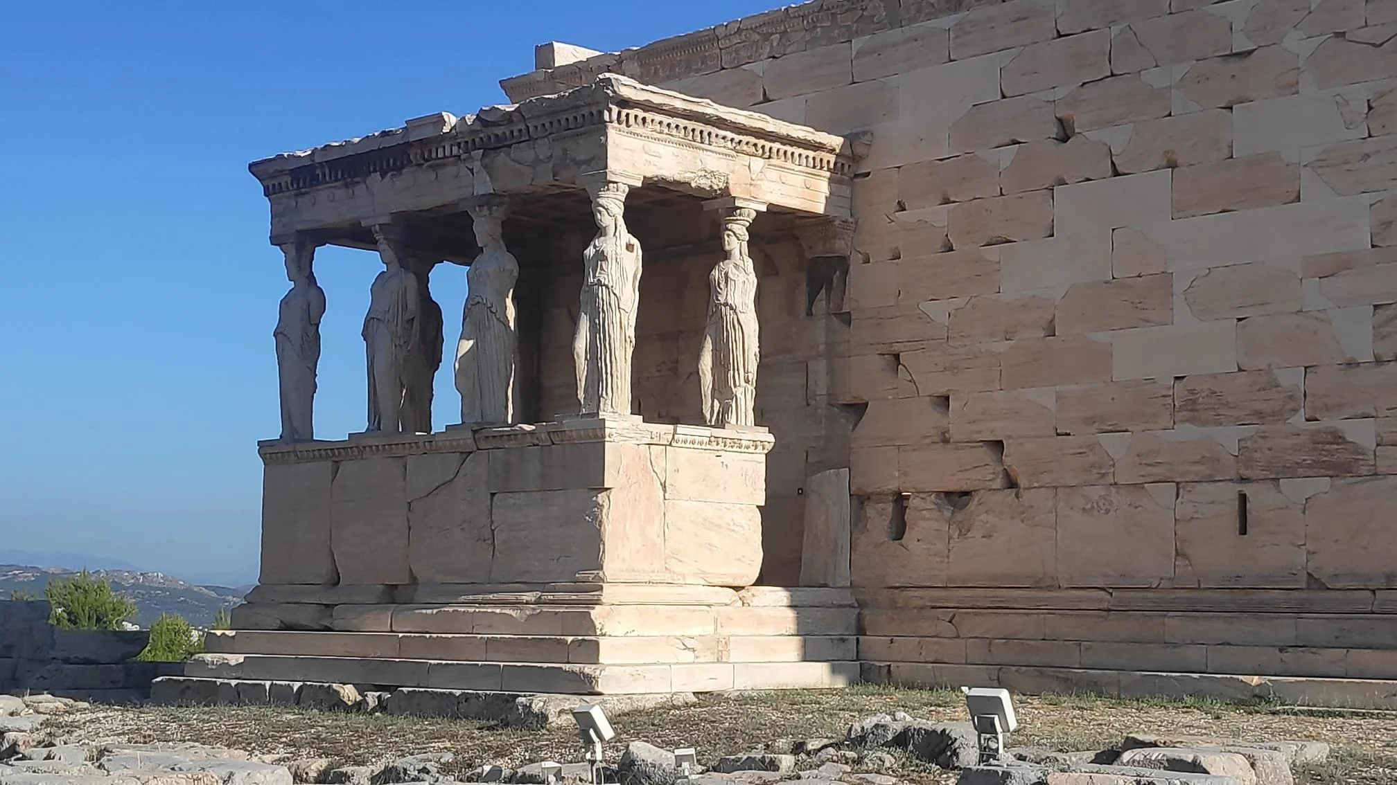 WhatsApp Image 2023-06-24 at 07.58.40-2.jpeg