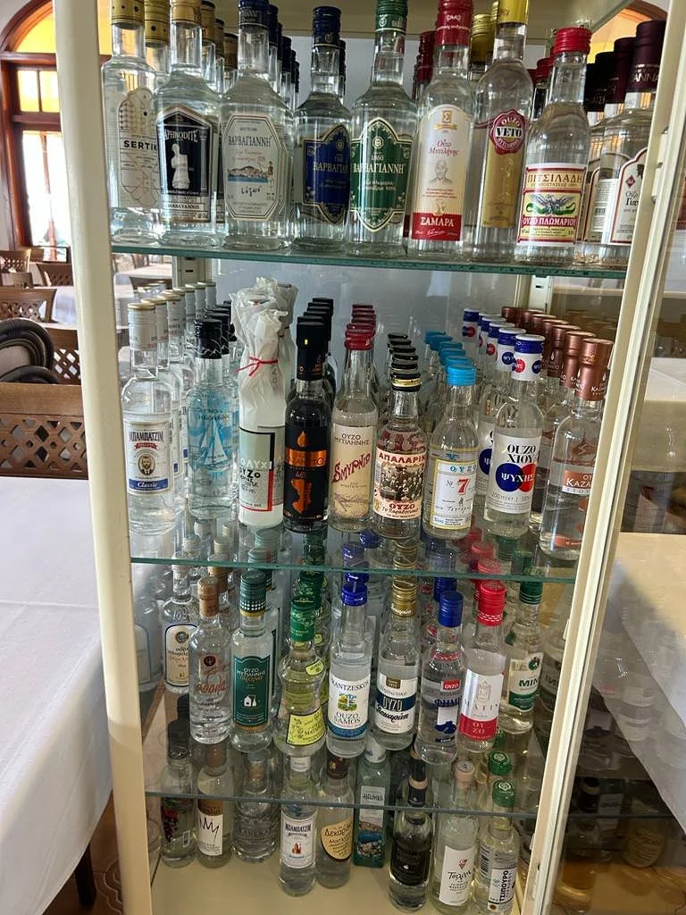 WhatsApp Image 2023-06-22 at 07.41.51.jpeg