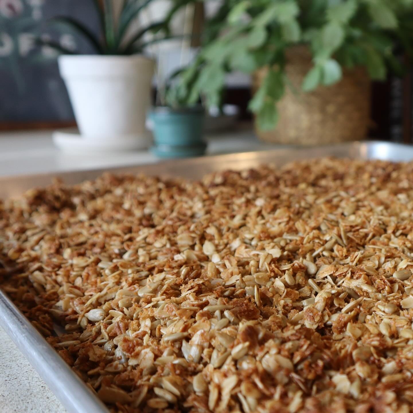 Sprinkle some goodness in your day! 🪄 We take rolled oats, local maple syrup, coconut, sunflower seeds, sea salt, and bake our granola fresh for the yogurt parfait on our menu as well as a topping on some of our muffins.