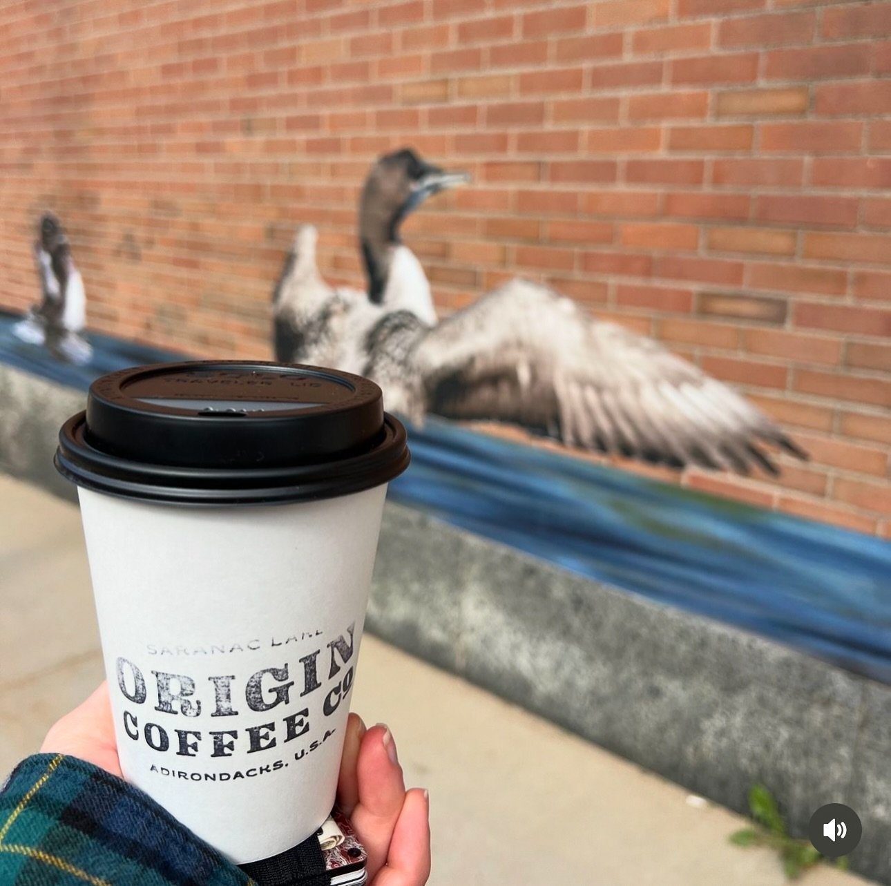 &lsquo;tis the season for coffee fueled adventures! 🐦&zwj;⬛

📸 @wanderwithkt