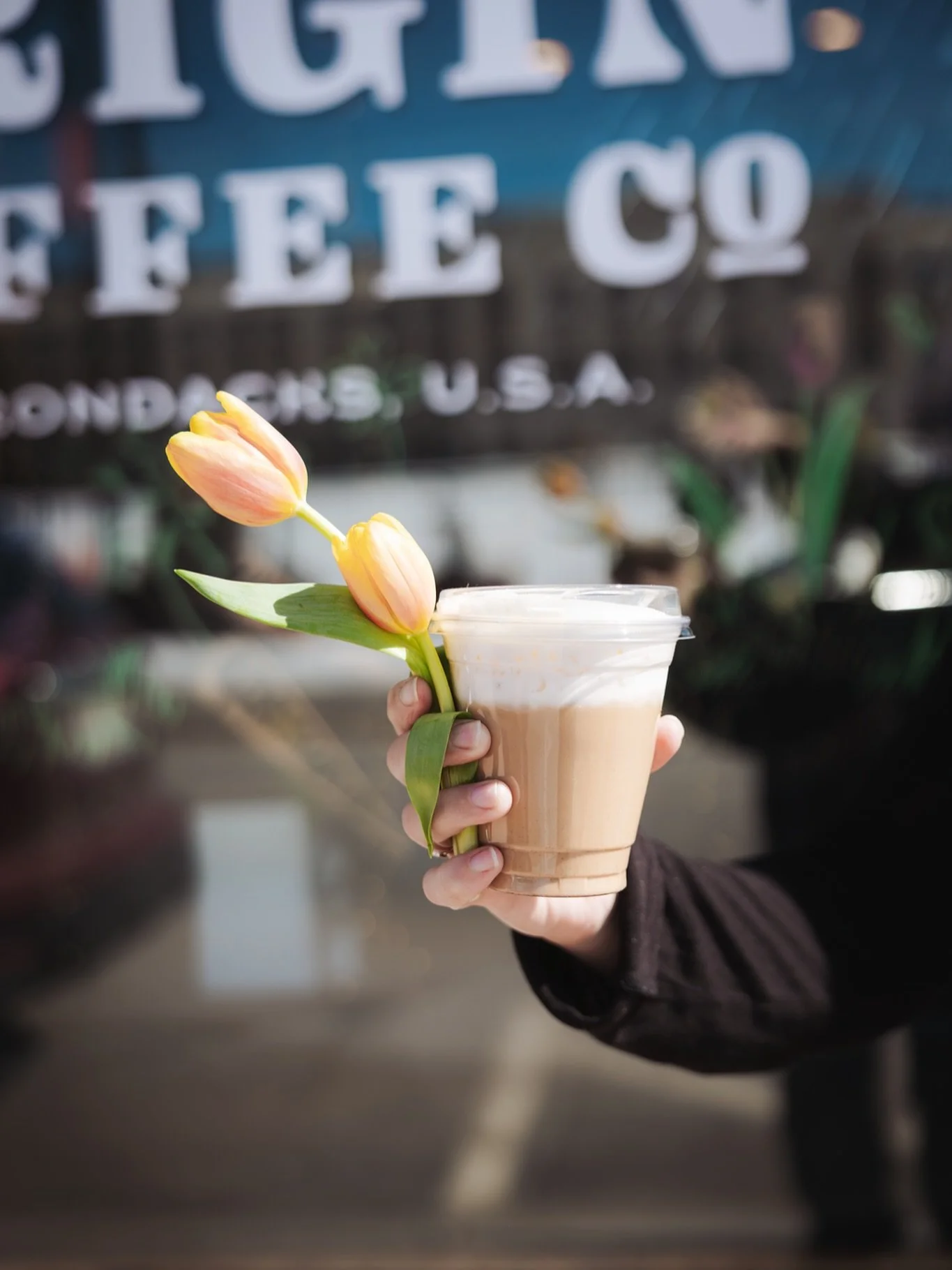 🎶🌷Spring Break in the mountains? We&rsquo;ve got you!