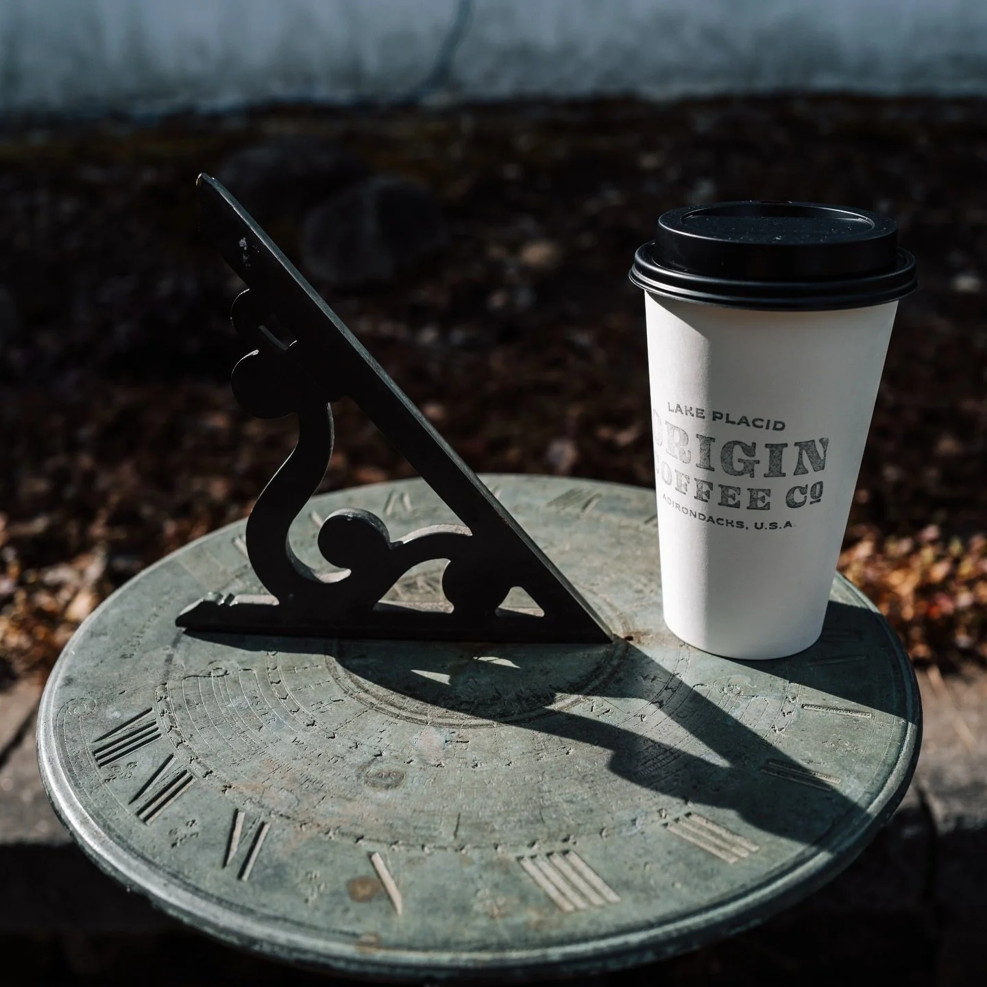 We are predicting more strolls around the lake in your near future☀️🌷

#springtime #springbreak #lakeplacid