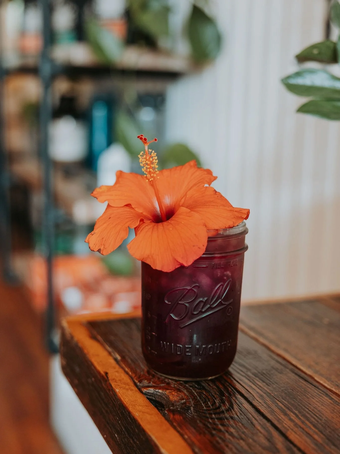 The meteorologist says rain &amp; snow outside&hellip; but we say sunshine! 🌺❄️

🍹: Singing In The Rain drink feature 
📸: @sooocially 
🎶: Lovely Day x Good As Hell
📍: Saranac Lake, Adirondack Mountains