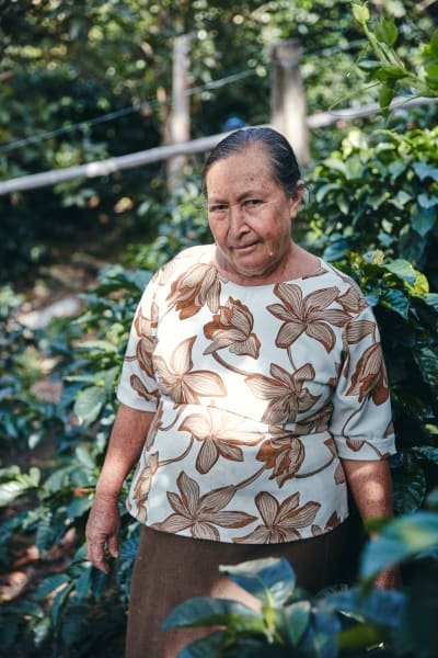 Origin Coffee Colombia 6.jpg