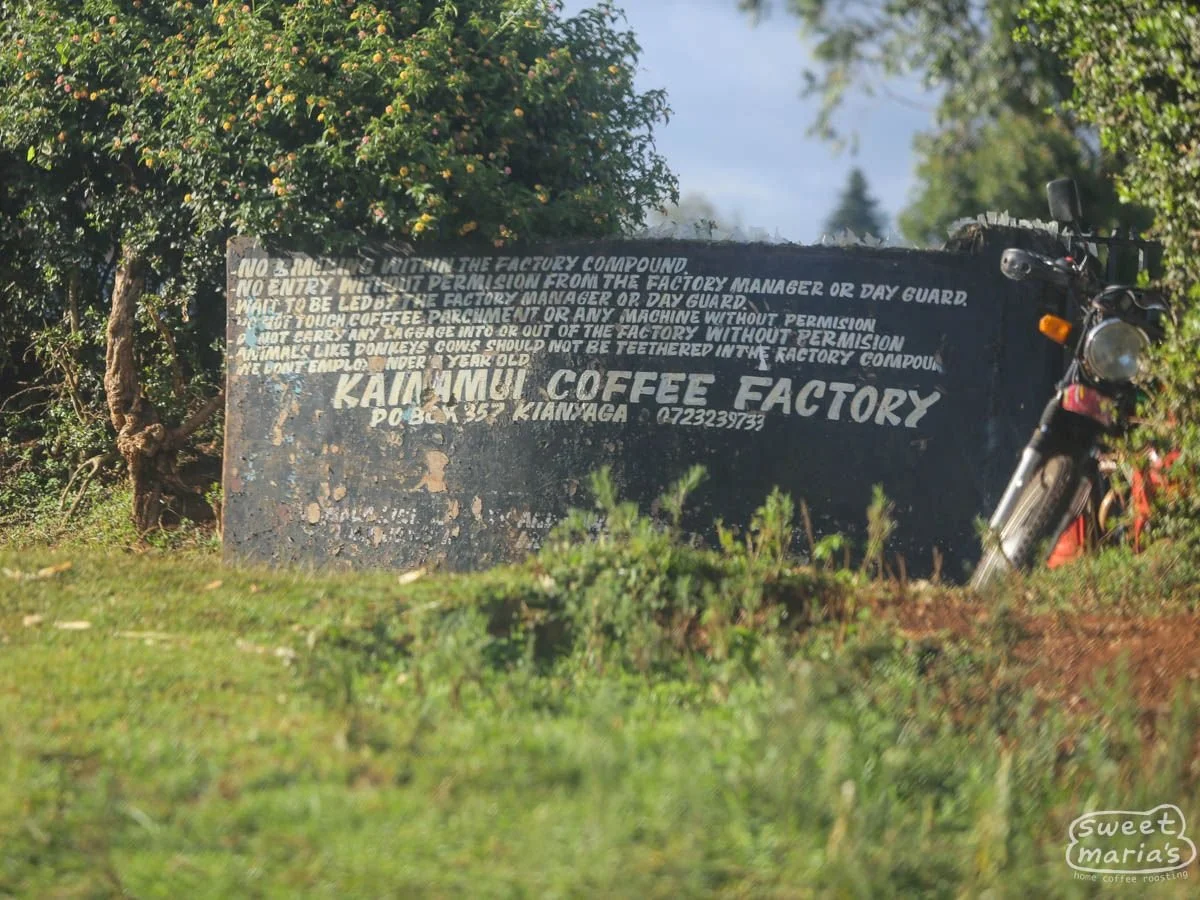 kenya-kirinyaga-kainamui-1.jpg