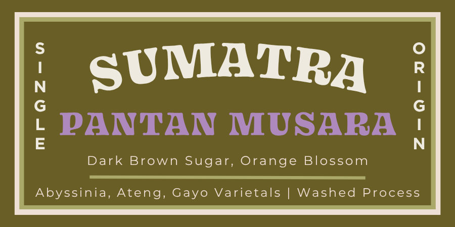 COMING SOON! Sumatra Pantan Musara Washed Process