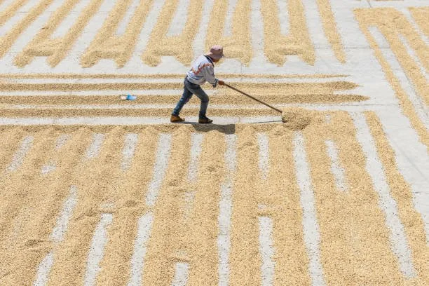 Origin Coffee Guatemala 2.jpg