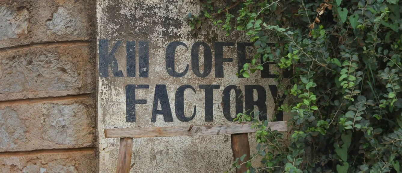 Origin Coffee Kenya Peaberry 2.jpg