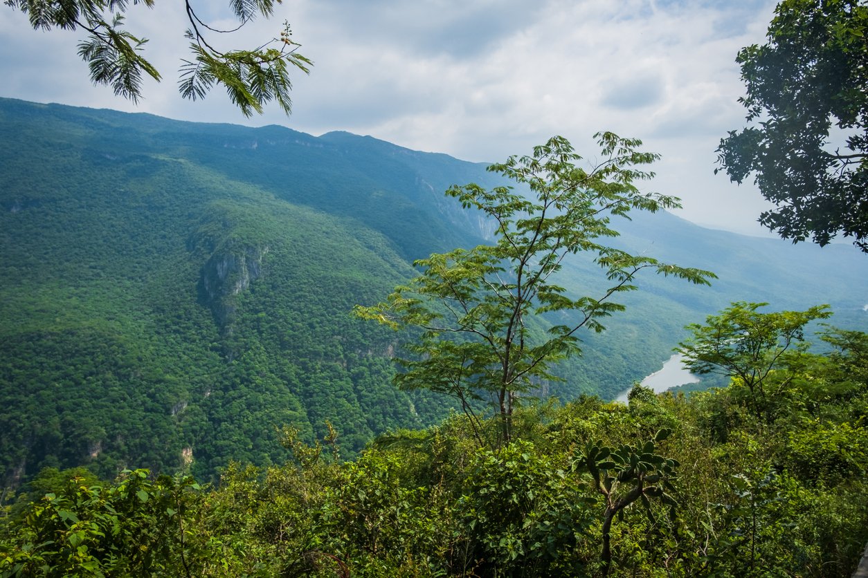 Chiapas Mexico.jpg