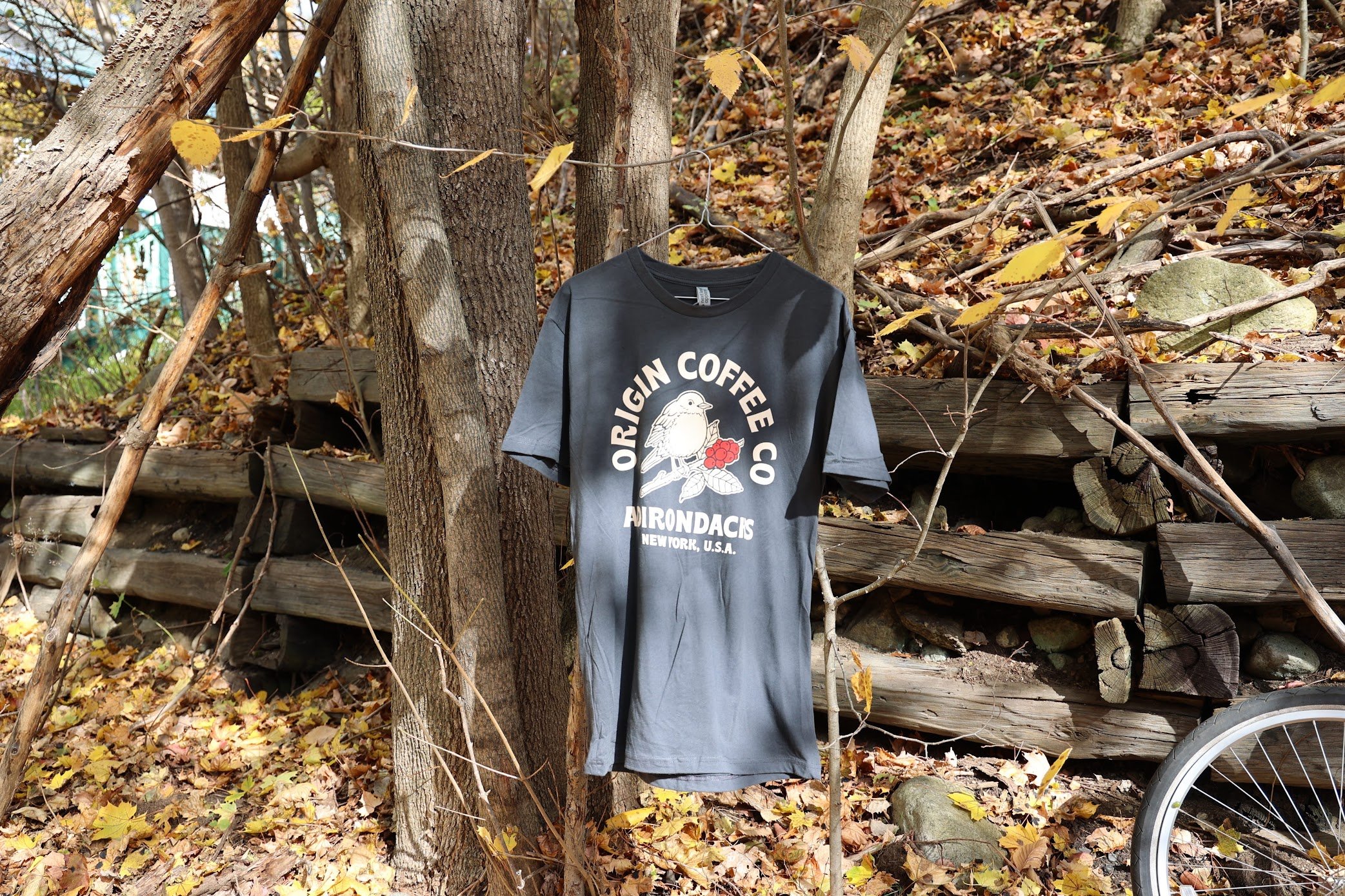 Bicknell's Thrush Tee Shirt