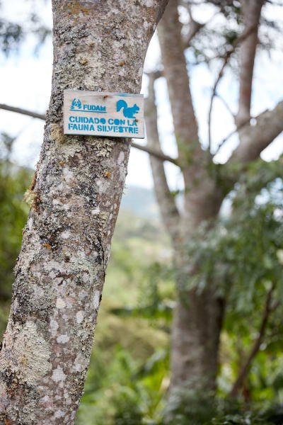 Origin Coffee Colombia 3.jpg