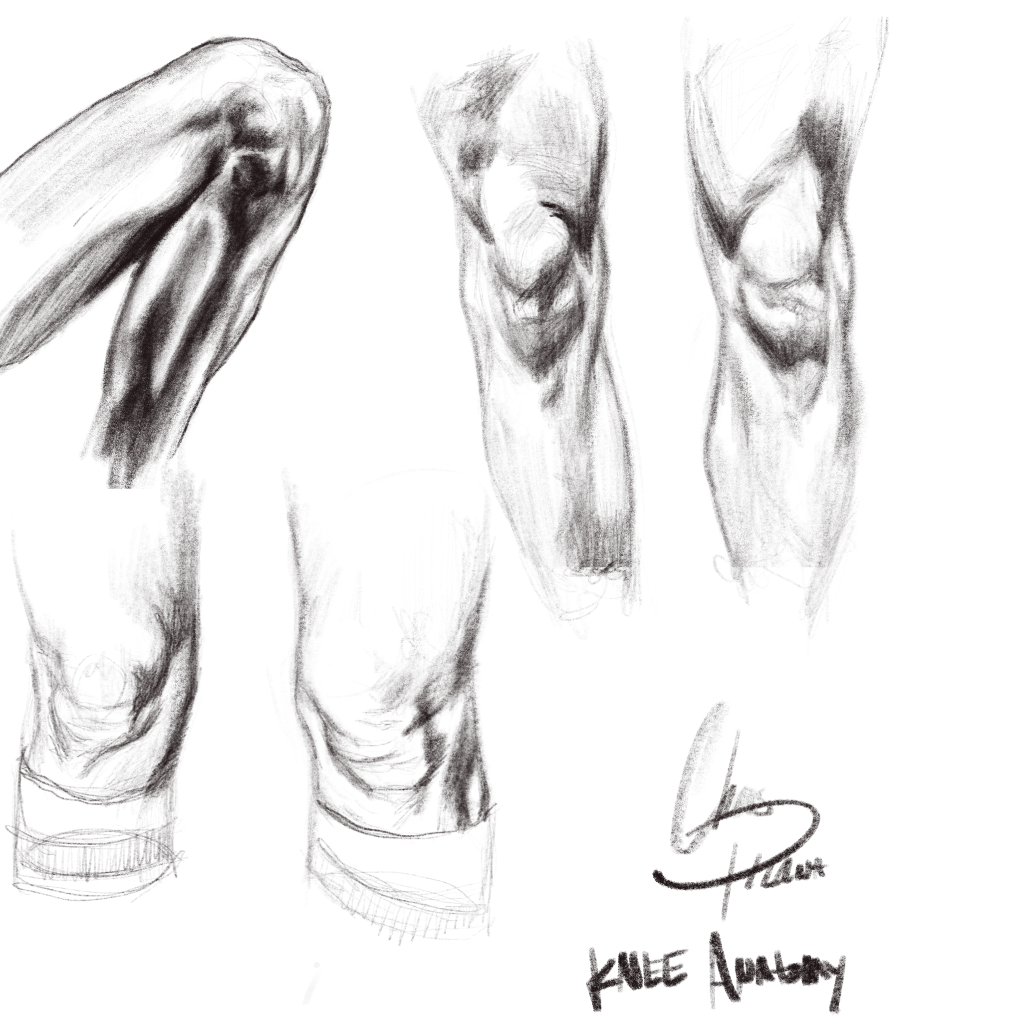 Untitled_Artwork 43.png