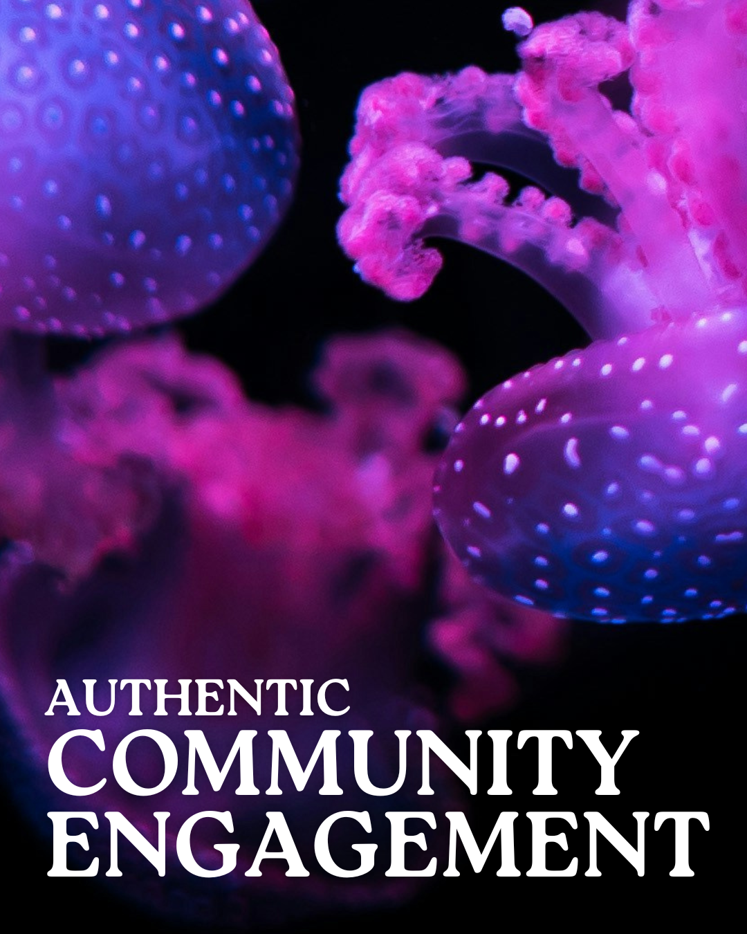 Lunch N' Learn Demo: Authentic Community Engagement (Free)