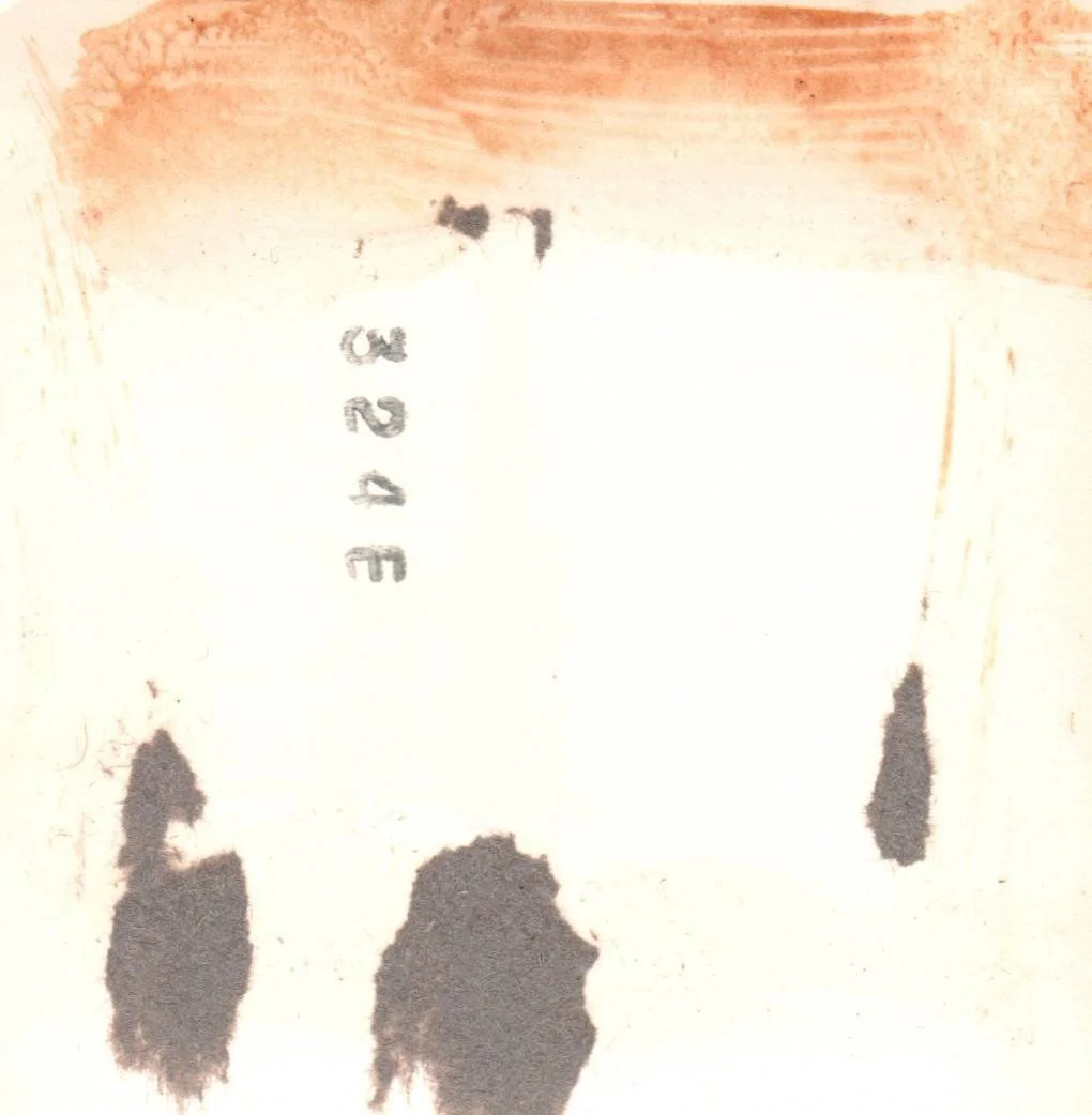 Gray Leinbach photos of Grandchildren around 1961 and 1962_005.jpg