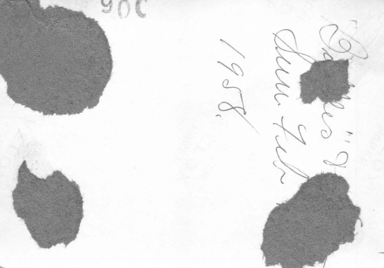 Gray and Vertis 1958_007.jpg