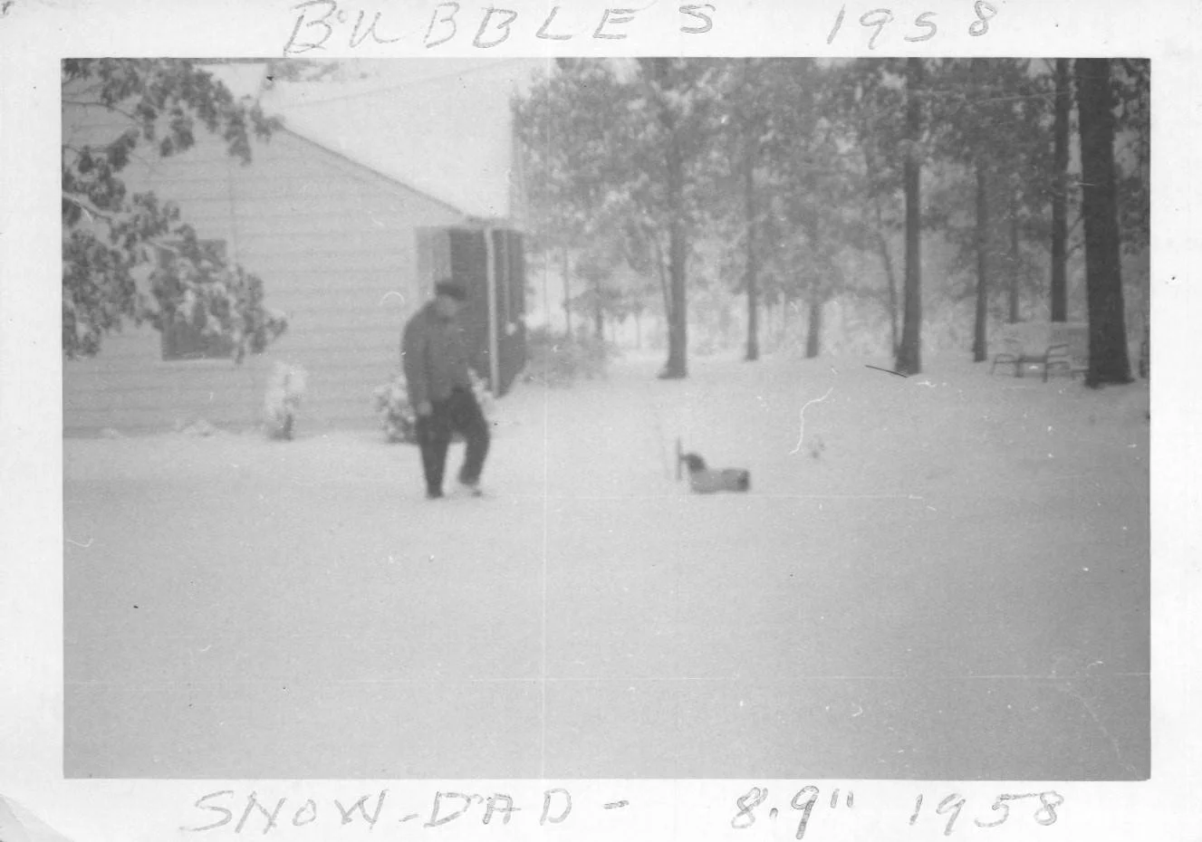 Gray and Vertis 1958_000.jpg