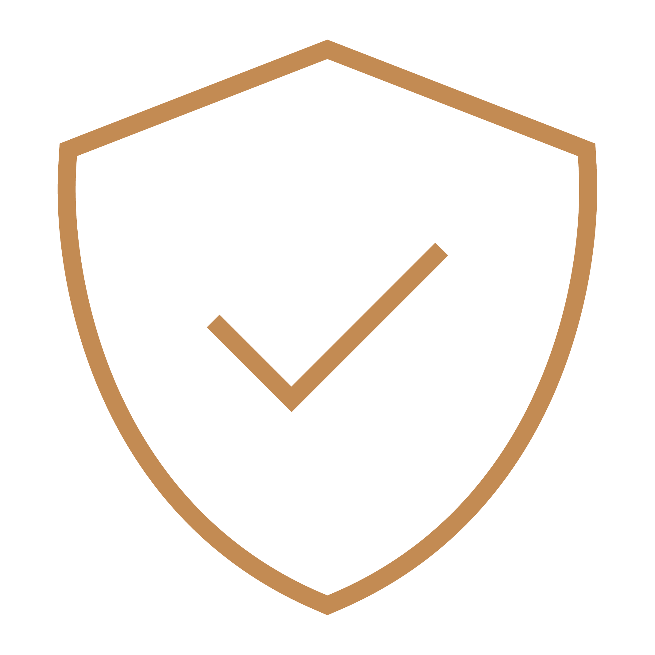 icon-low-back-pain-management.png
