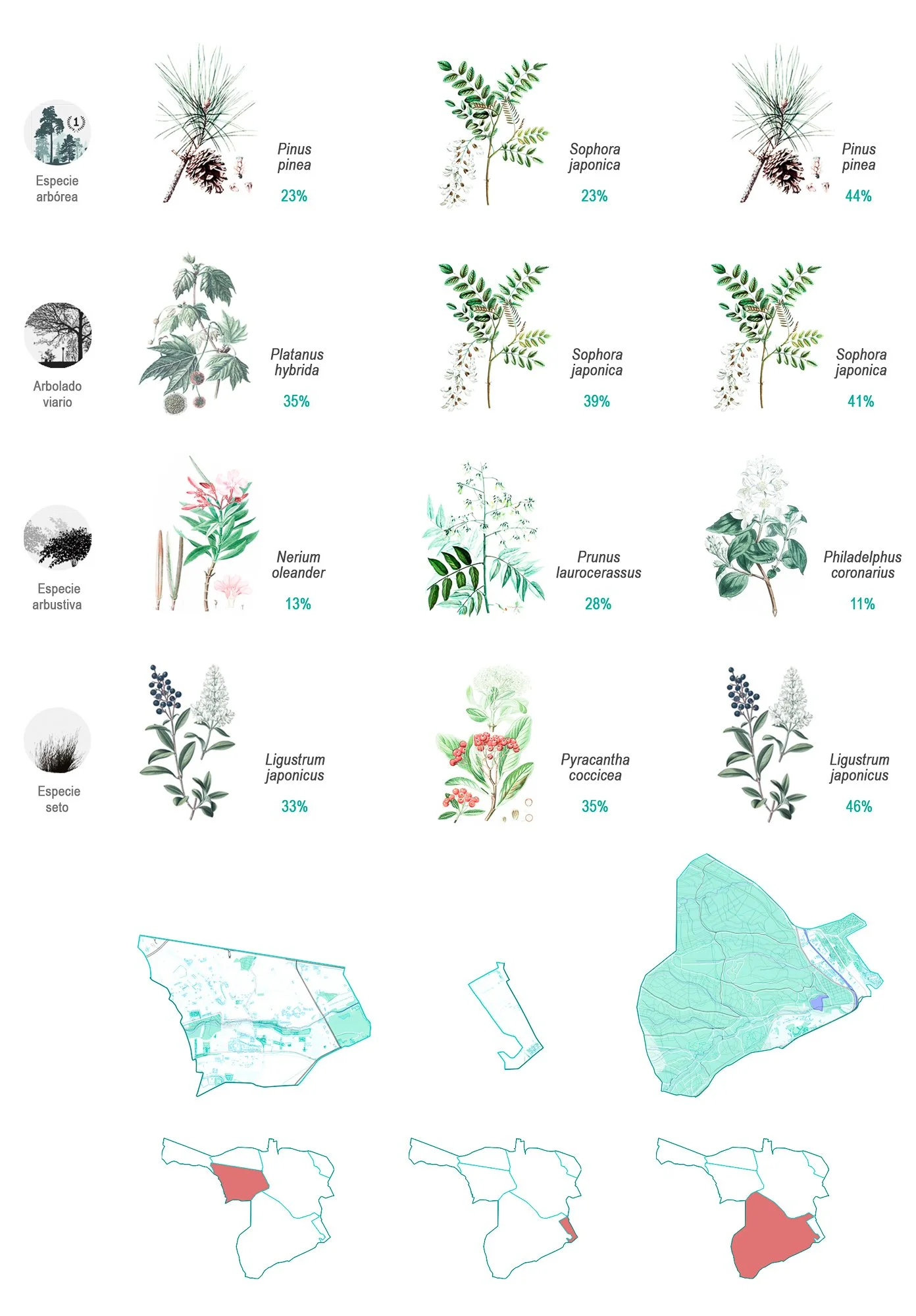 A3 ESPECIES VEGETALES 1.jpg