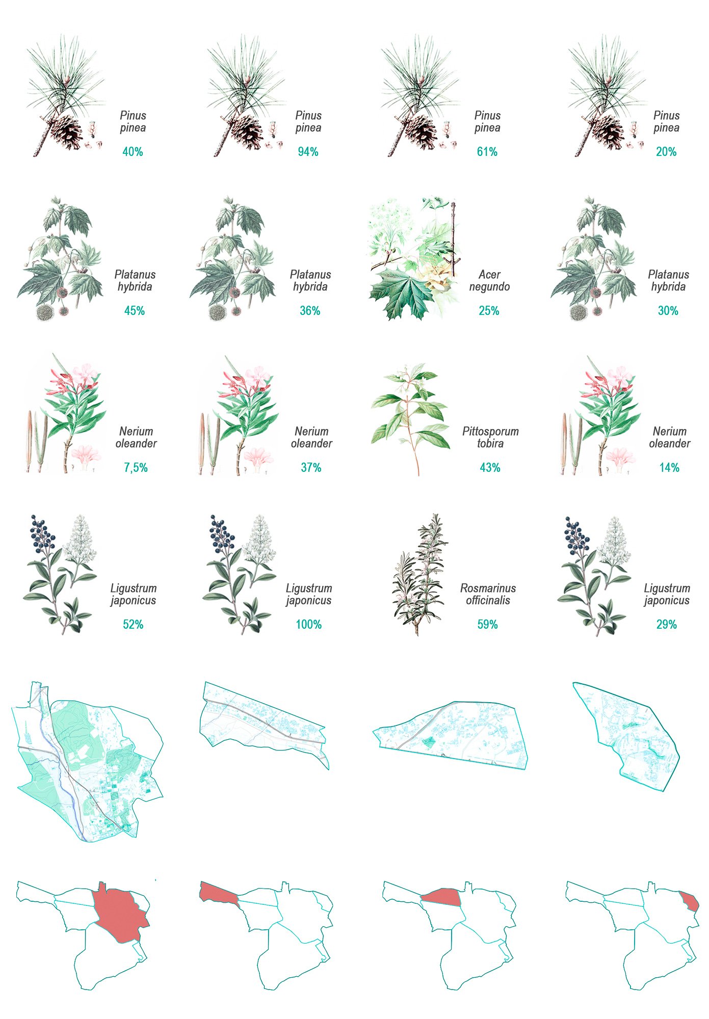 A3 ESPECIES VEGETALES 2.jpg
