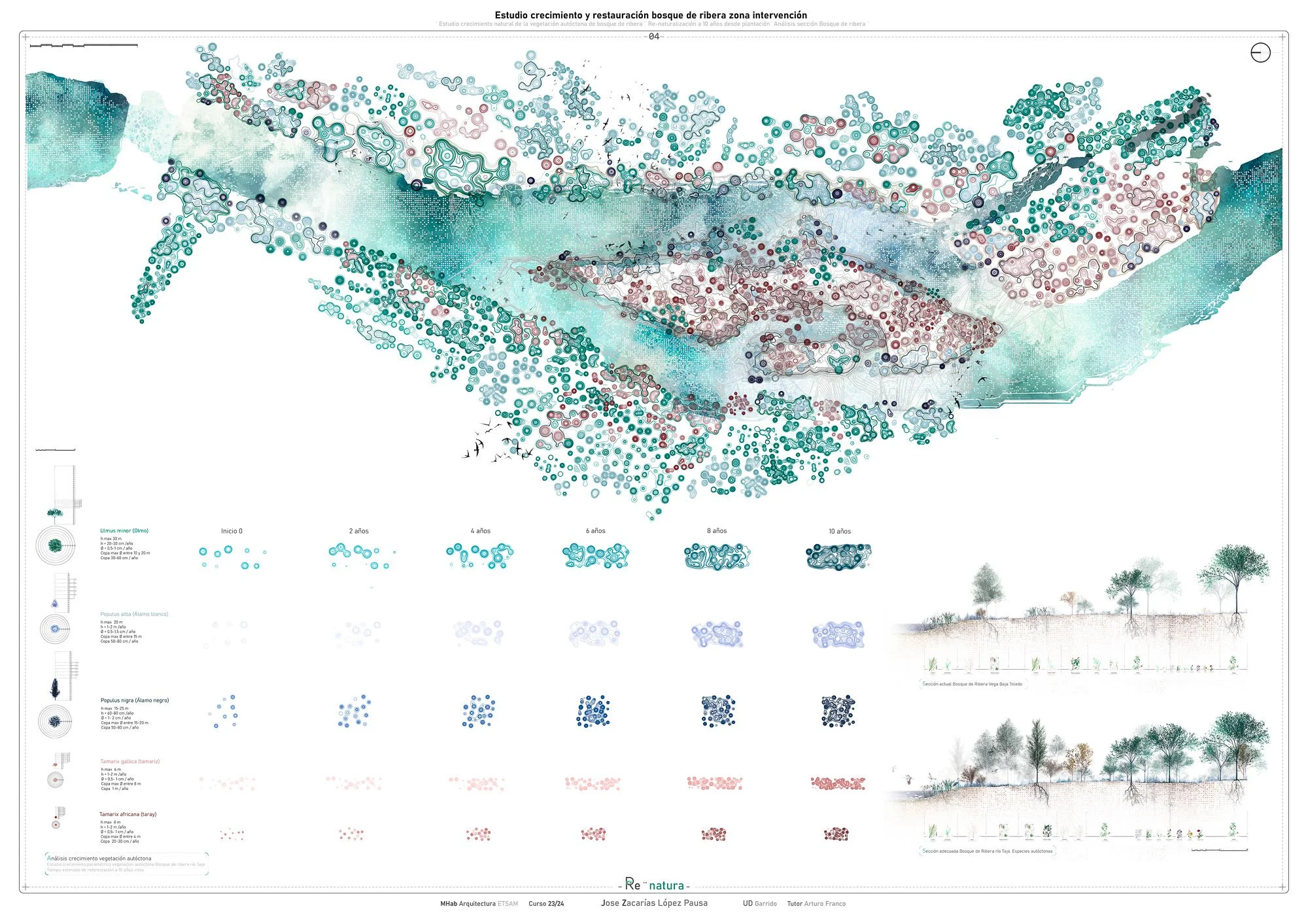 4 Reforestation study.jpg