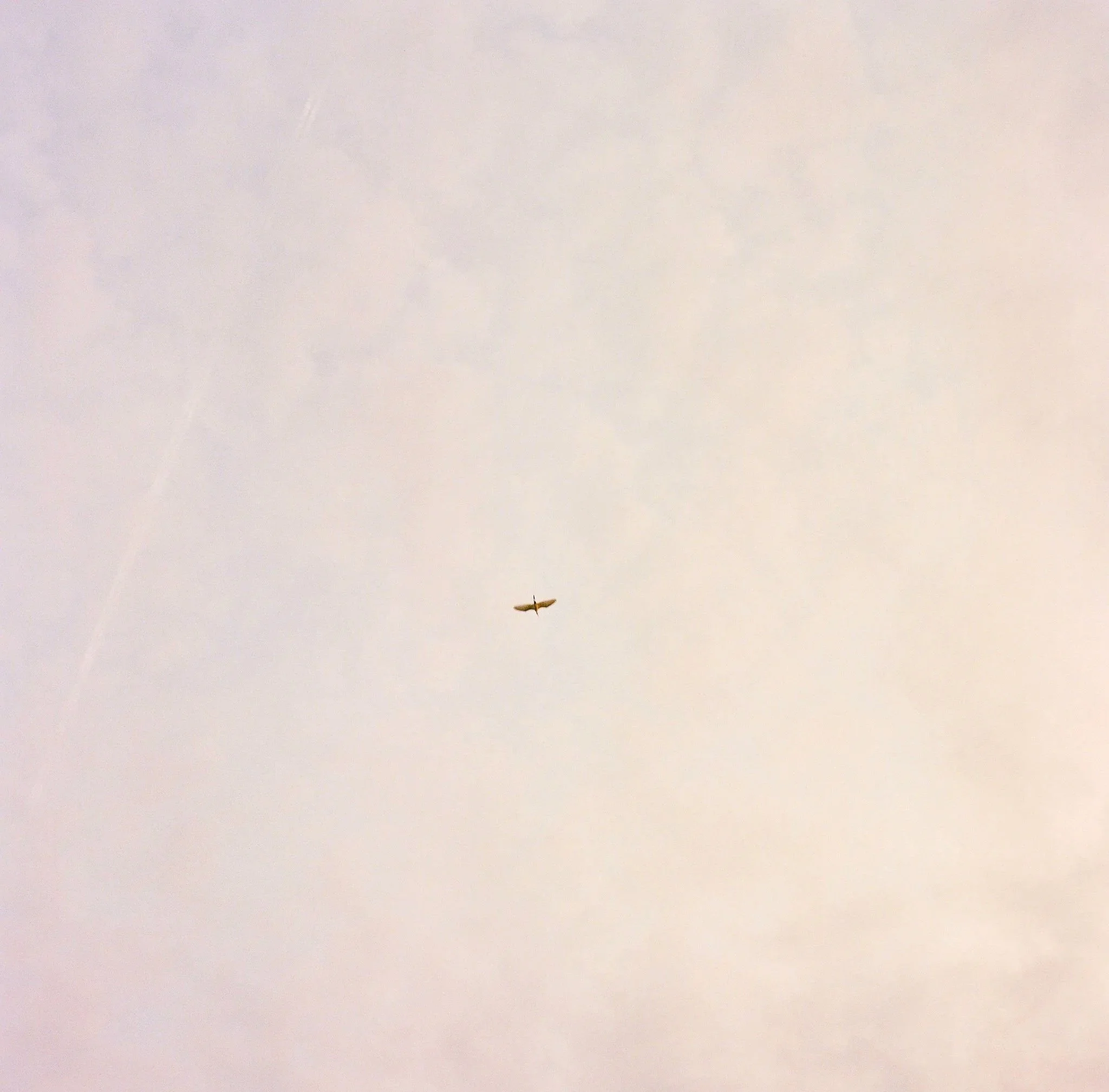 706890_0008.jpg