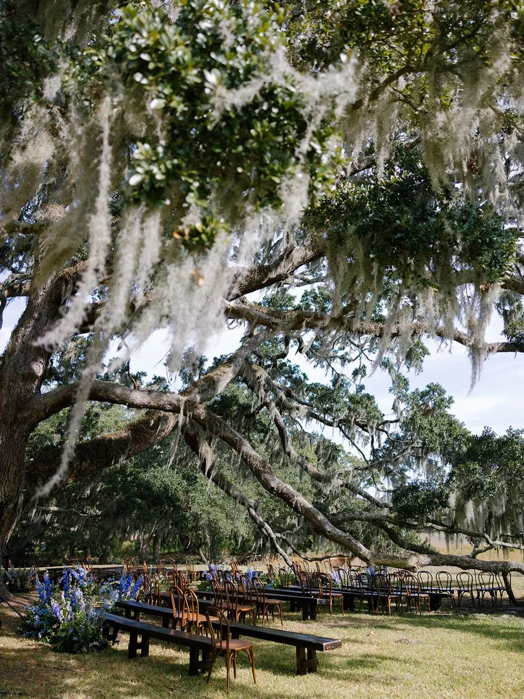 When you choose a setting that&rsquo;s naturally breathtaking, the design decisions become effortless. Towering oaks, Spanish moss swaying in the breeze, water views in every direction. It&rsquo;s the kind of beauty you simply can&rsquo;t recreate or