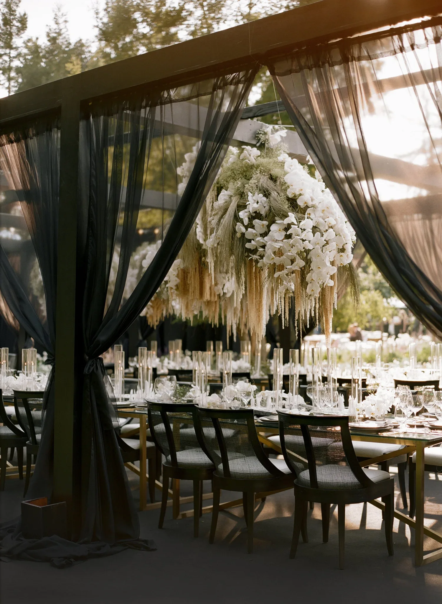 Sophisticated outdoor wedding reception framed by black sheer draping with dramatic hanging white orchids, textural florals, black dining chairs, and candlelit tables.