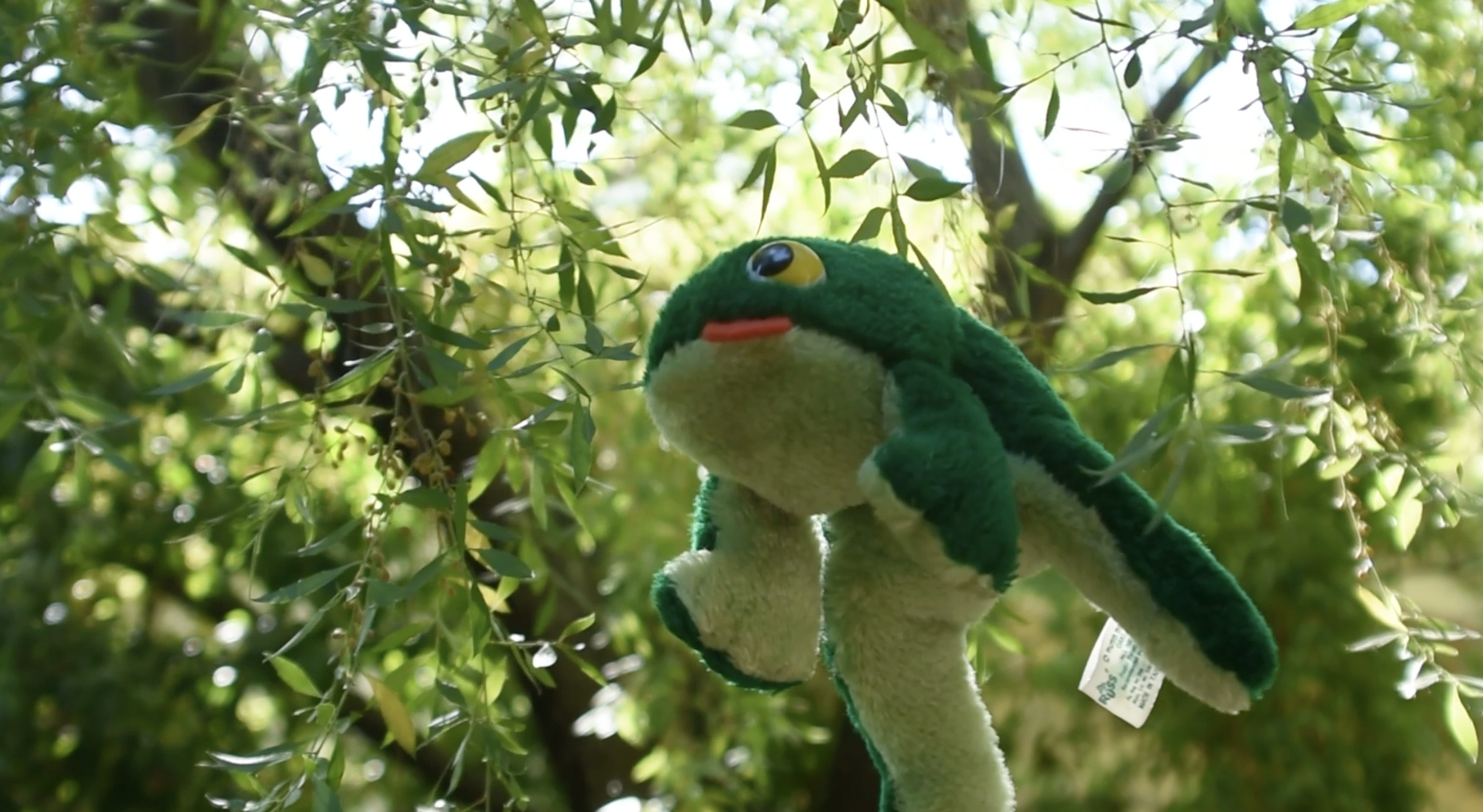 Screenshot 2026-01-14 at 2.52.06 PM.png