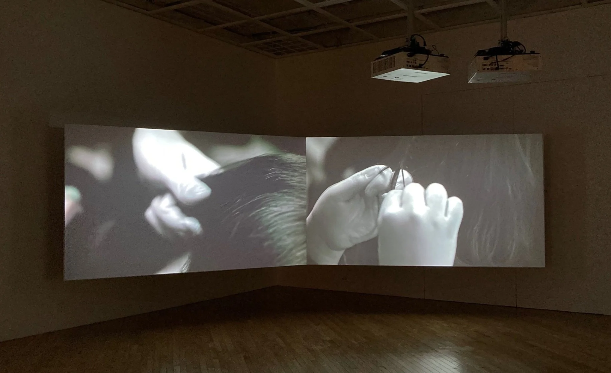 Still of a video work displayed on two wide screens right next to one another. The left screen features a hand holding a chunk of hair, and the right screen features two hands braiding strands of black hair.