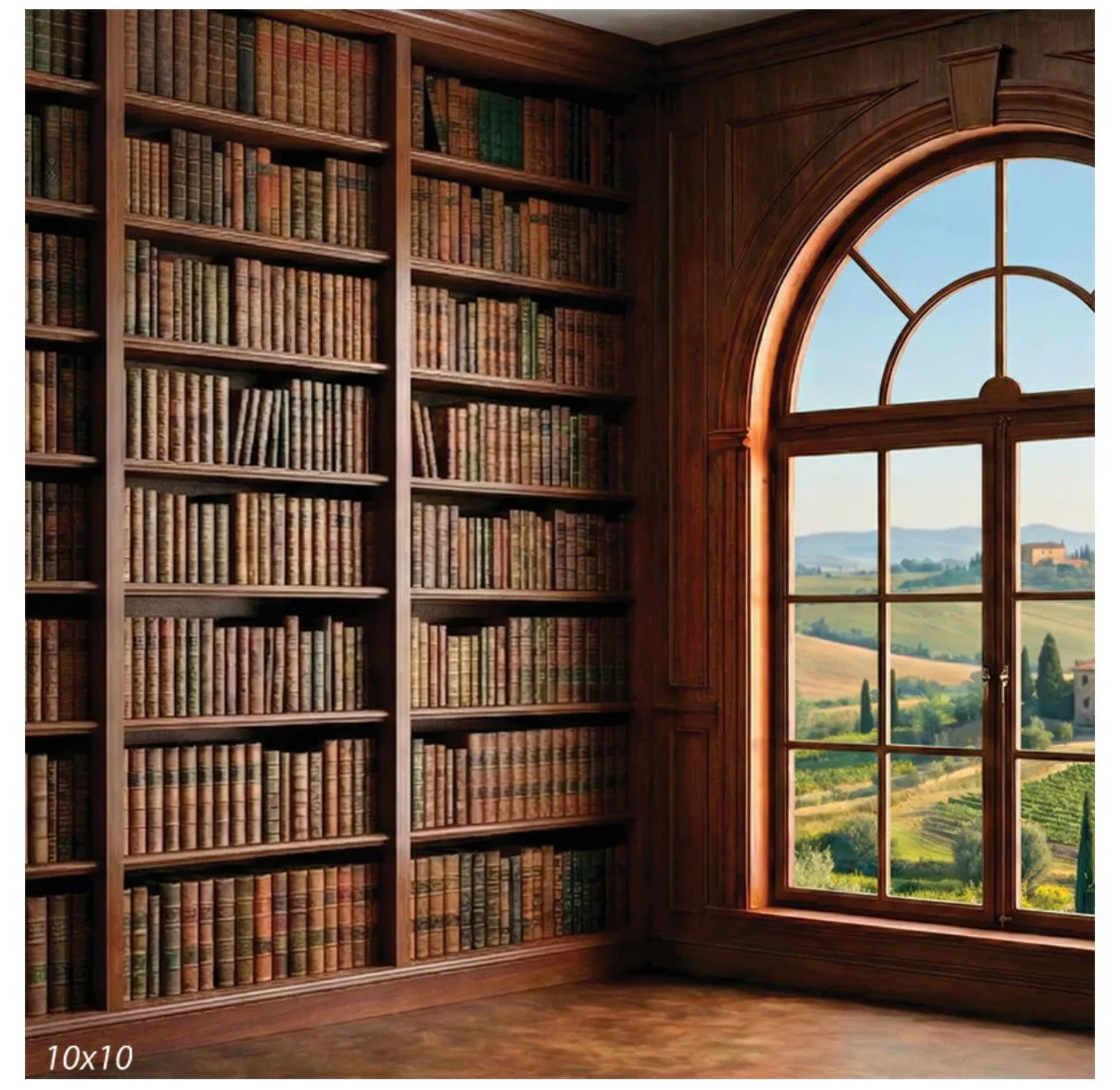 Library bookshelf backdrop option by findlay photographer 